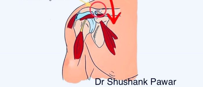 9c56a55d-c495-4a9c-aa1d-cbf7b5dffc54